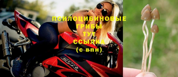 крисы Балабаново