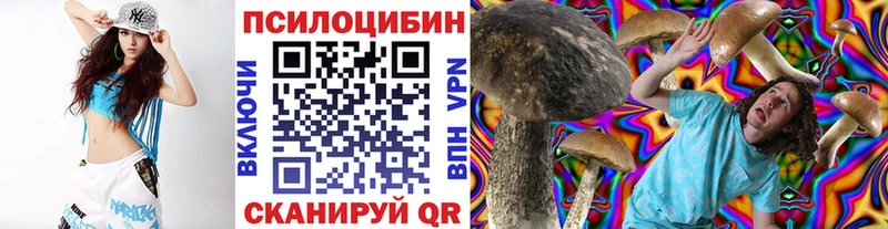 Псилоцибиновые грибы Psilocybe  купить  цена  Билибино 